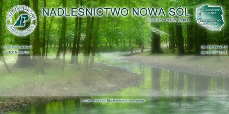 Nadleśnictwo Nowa Sól - Cztery Pory Roku